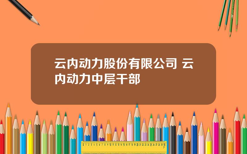 云内动力股份有限公司 云内动力中层干部